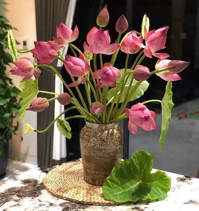 Mùng 1 cúng 5 loài hoa này: Bề trên hài lòng, hanh thông cả tháng- Ảnh 4. Mùng 1 cúng 5 loài hoa này: Bề trên hài lòng, hanh thông cả tháng- Ảnh 4.