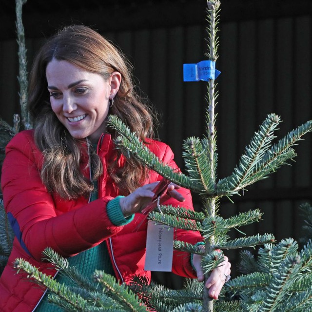 Món quà Vương phi Kate bí mật gửi đến nơi "lạnh lẽo" nhất nước Anh đang sưởi ấm hàng ngàn trái tim- Ảnh 2.