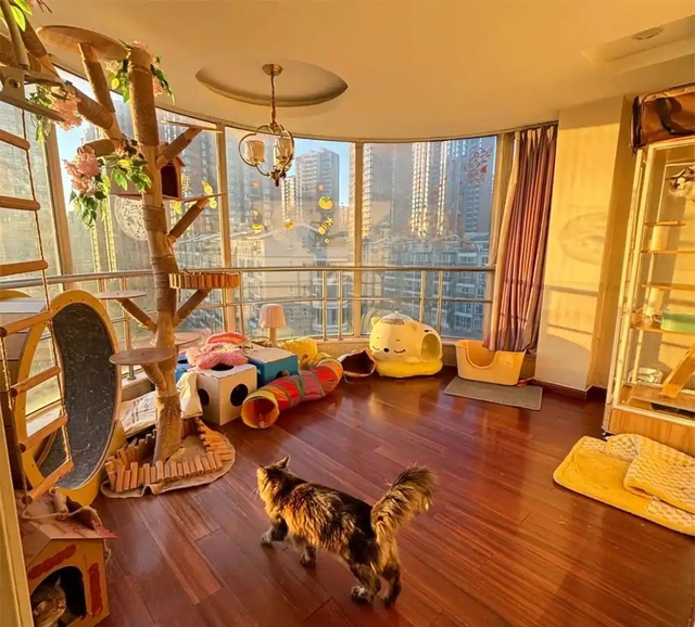 Bức ảnh chụp căn phòng kì lạ của cô gái 28 tuổi, ai nhìn cũng "cạn lời"- Ảnh 1.