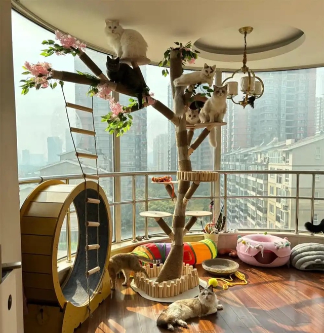 Bức ảnh chụp căn phòng kì lạ của cô gái 28 tuổi, ai nhìn cũng "cạn lời"- Ảnh 2.