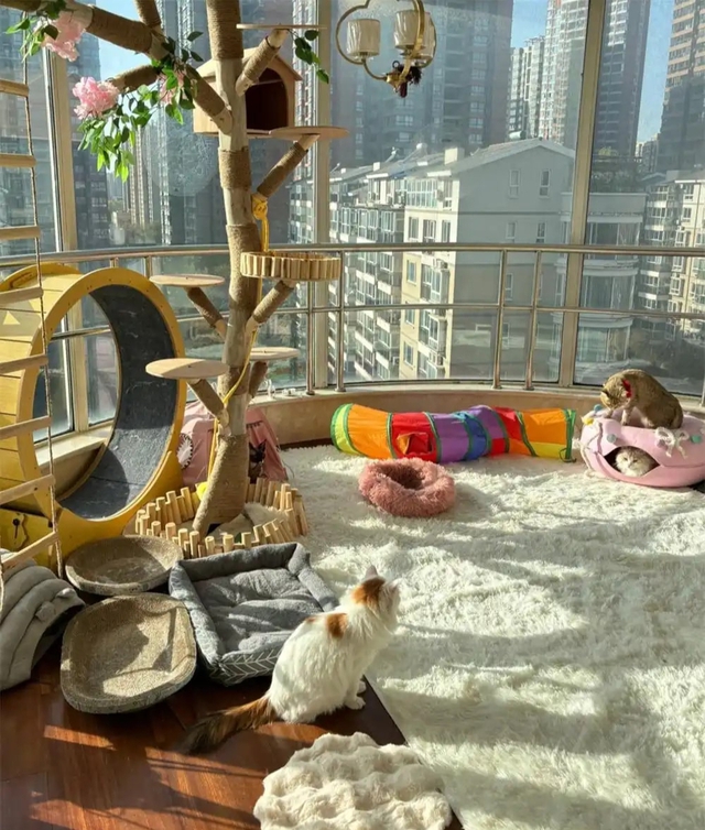 Bức ảnh chụp căn phòng kì lạ của cô gái 28 tuổi, ai nhìn cũng "cạn lời"- Ảnh 4.