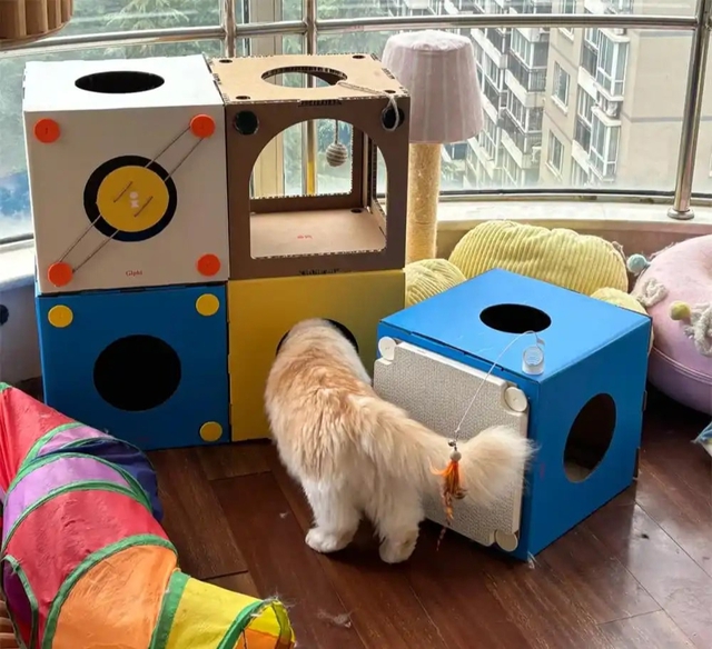 Bức ảnh chụp căn phòng kì lạ của cô gái 28 tuổi, ai nhìn cũng "cạn lời"- Ảnh 3.