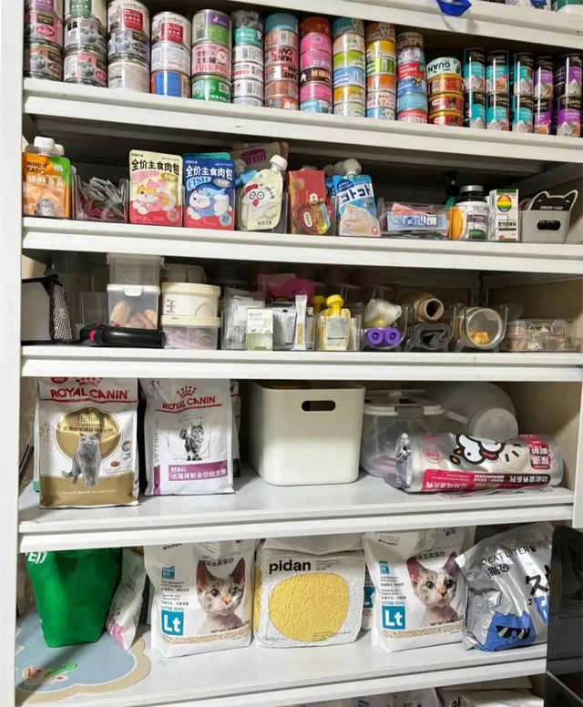 Bức ảnh chụp căn phòng kì lạ của cô gái 28 tuổi, ai nhìn cũng "cạn lời"- Ảnh 7.