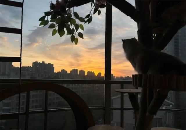 Bức ảnh chụp căn phòng kì lạ của cô gái 28 tuổi, ai nhìn cũng "cạn lời"- Ảnh 8.