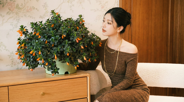 Trồng cây 'cá vàng' dịp cuối năm: Hoa nở như 'bơi' tiền vào két, xả xui cực tốt mà tôi trồng 6 năm vẫn mê- Ảnh 1.