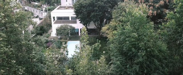 Nam nghệ sĩ xây biệt thự ở ẩn, U80 sống “lẻ bóng”: Không nghỉ hưu, thức đến 4h sáng làm việc vẫn hài lòng- Ảnh 2.