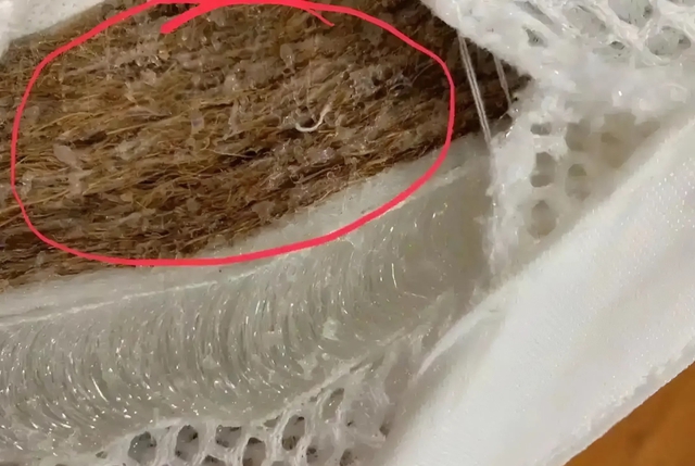 Dù giàu hay nghèo cũng nên sớm nói lời tạm biệt với 5 món đồ độc hại này- Ảnh 3.