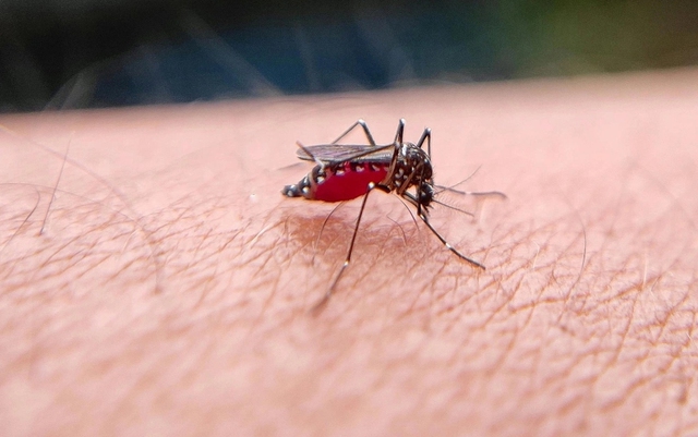 Những "điểm nóng" về y tế, sức khỏe năm 2025- Ảnh 2.