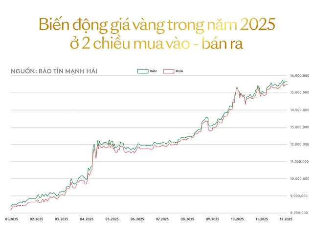 Năm đầu tiên giá vàng chạm mốc 9 con số: Chuyên gia phân tích, chỉ ra 3 điều phải tính kỹ trước khi mua vàng- Ảnh 1.