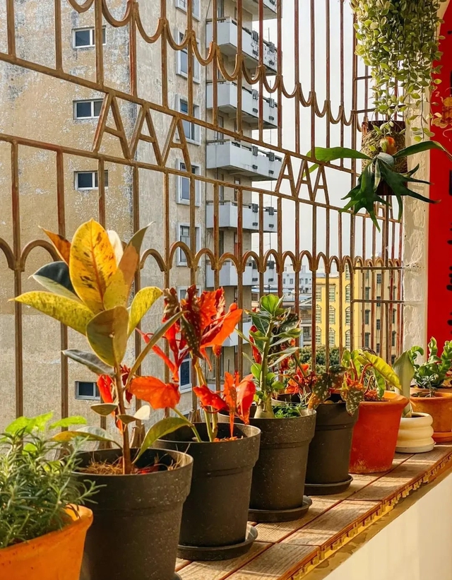 Tim đập loạn trước ngôi nhà của bà cụ 75 tuổi: Sống 1 mình an yên, không làm gánh nặng cho con cháu- Ảnh 5.