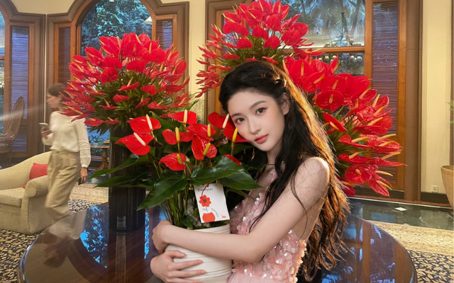 Loài hoa "nồi đồng cối đá" nở thông 365 ngày: Muốn chồng thăng quan tiến chức, tiền vào như nước nhất định phải rước về- Ảnh 1.