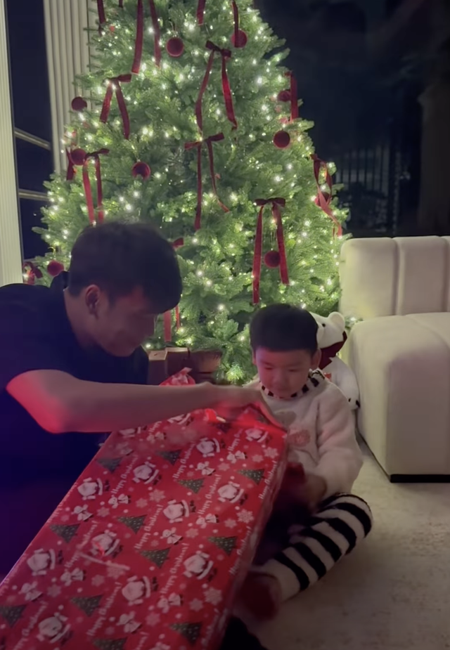 Bộ ảnh giáng sinh đẹp lung linh nhà Quế Ngọc Hải, ngắm biệt thự lộng lẫy nhà Thành Chung mới choáng- Ảnh 5.