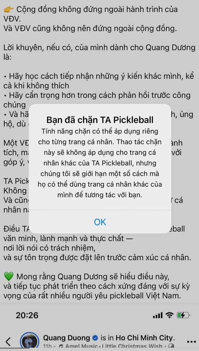 Drama Pickleball: Trang Fanpage bị phản ứng dữ dội vì “dạy” Quang Dương cách cư xử- Ảnh 2.