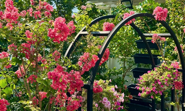 Thứ quý giá trong biệt thự 21 tỷ của MC Quyền Linh- Ảnh 6.