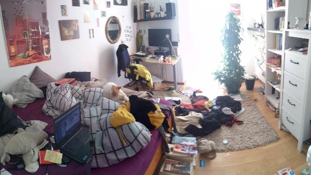 4 loại đồ cũ nên dứt khoát bỏ trước năm mới 2026- Ảnh 1. 4 loại đồ cũ nên dứt khoát bỏ trước năm mới 2026- Ảnh 1.