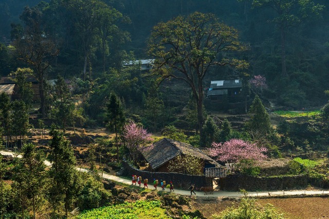 Cảnh báo nóng khi đặt phòng khách sạn dịp Tết- Ảnh 1.