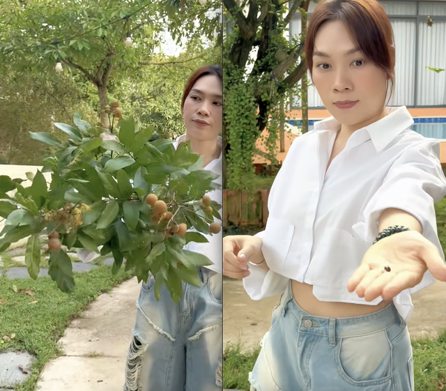 Bên trong biệt phủ của Mỹ Tâm: Sở hữu thứ độc nhất vô nhị, rộng đến mức Mai Tài Phến thả diều vô tư- Ảnh 6.