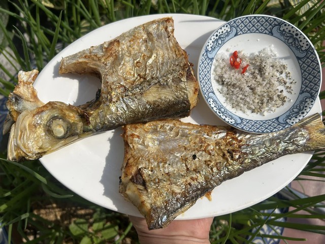 Loại cá được mệnh danh là "tứ quý ngư”, đứng đầu danh sách cá quý mà dân sành ăn săn lùng- Ảnh 3.