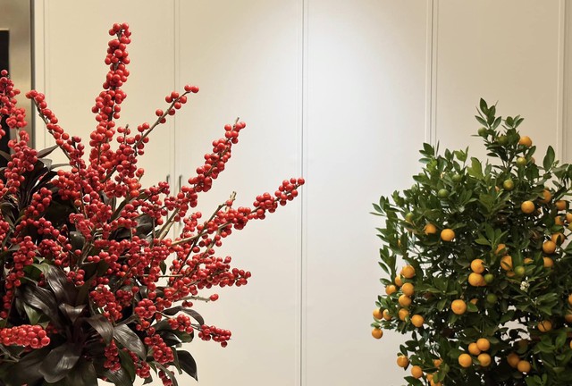 Hoa hậu Việt Nam đầu ti&ecirc;n l&agrave;m d&acirc;u h&agrave;o m&ocirc;n, được chồng chiều như c&ocirc;ng ch&uacute;a, sống đời thượng lưu trong biệt thự hạng sang- Ảnh 10.