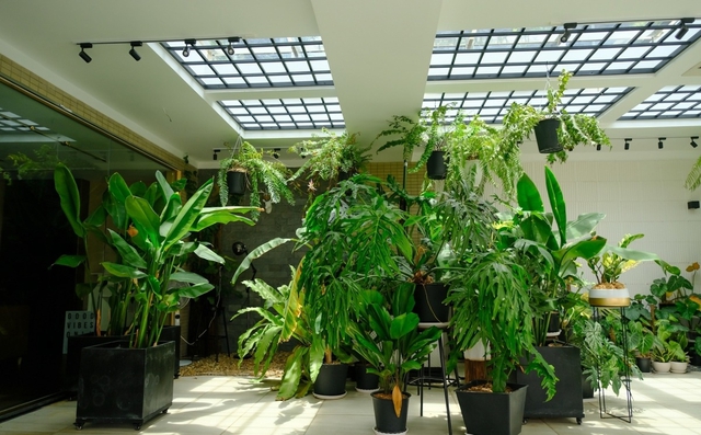 Tài sản của Khánh Thi - Phan Hiển- Ảnh 8. Tài sản của Khánh Thi - Phan Hiển- Ảnh 8.