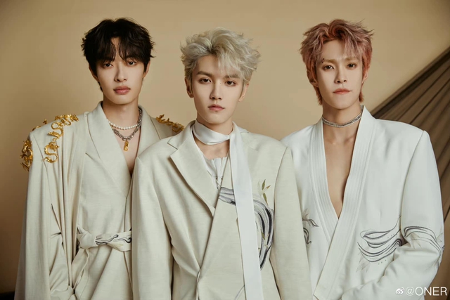 Sốc: Nam ca sĩ túm tóc fan nữ ngay tại sân bay- Ảnh 3.