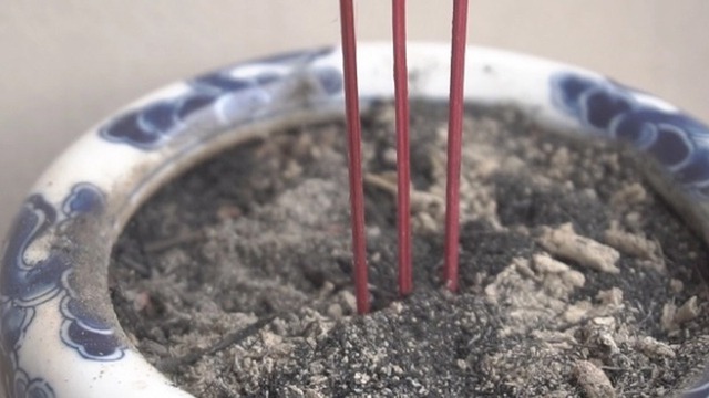 Sai lầm lớn nhất khi tỉa chân hương- Ảnh 2.