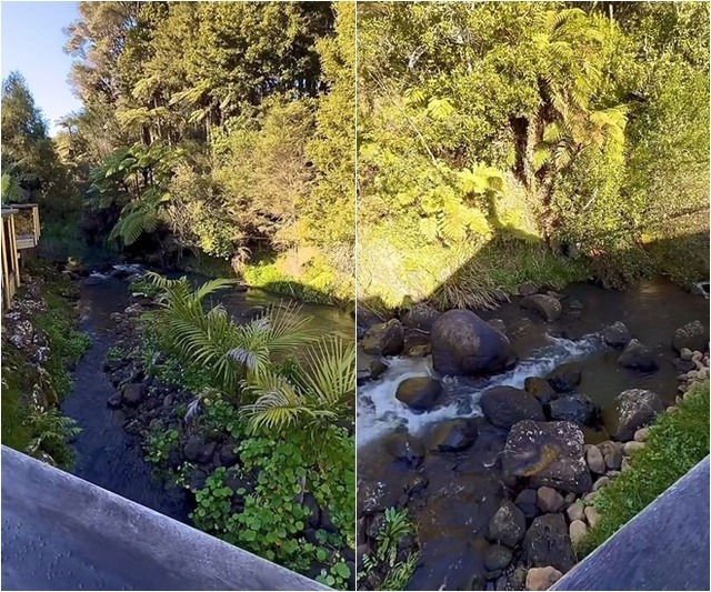 Nữ diễn viên Việt lấy chồng tỷ phú, sống như "bà hoàng", ngủ dậy có 5 hầu gái phục vụ- Ảnh 11.