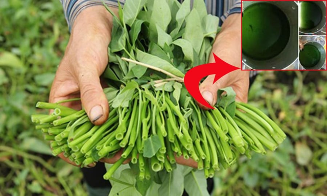 7 loại rau dễ bị phun thuốc nhất- Ảnh 1.