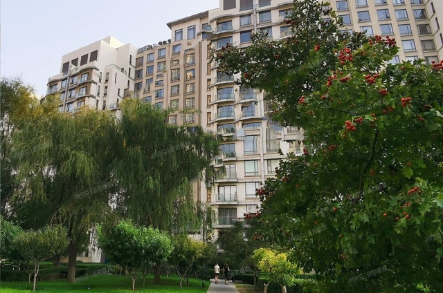 5 dấu hiệu nhận biết nhà có lộc, chúc mừng gia đình nào sở hữu- Ảnh 2. 5 dấu hiệu nhận biết nhà có lộc, chúc mừng gia đình nào sở hữu- Ảnh 2.