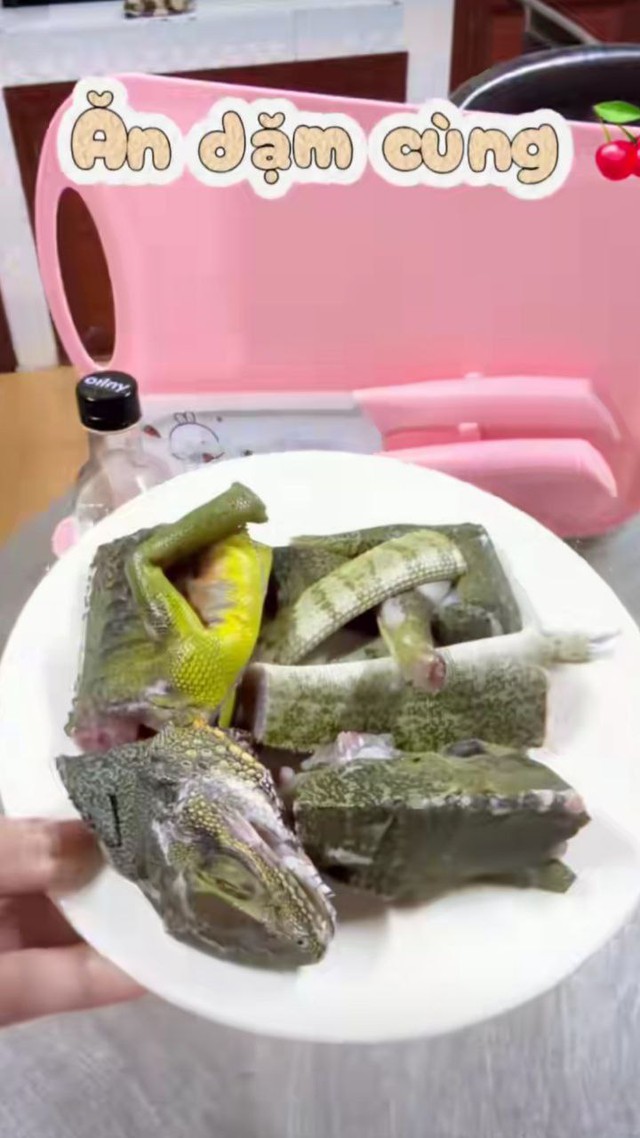 Sợ xanh mặt với thực đơn ăn dặm của 1 mẹ bỉm: Nấu cháo cho con bằng thịt... kỳ nhông- Ảnh 3. Sợ xanh mặt với thực đơn ăn dặm của 1 mẹ bỉm: Nấu cháo cho con bằng thịt... kỳ nhông- Ảnh 3.