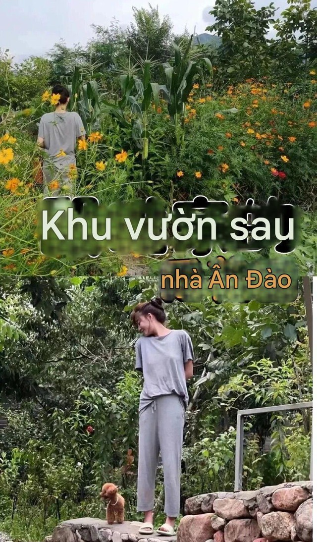 Biệt thự của "mỹ nhân có vòng eo đẹp nhất showbiz", ai đi qua cũng ngoái nhìn- Ảnh 5.