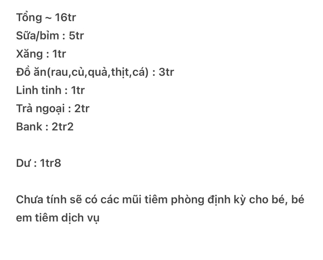 Bảng chi tiêu của đôi vợ 2k, chồng 2k2 gây ra áp lực lớn- Ảnh 1.