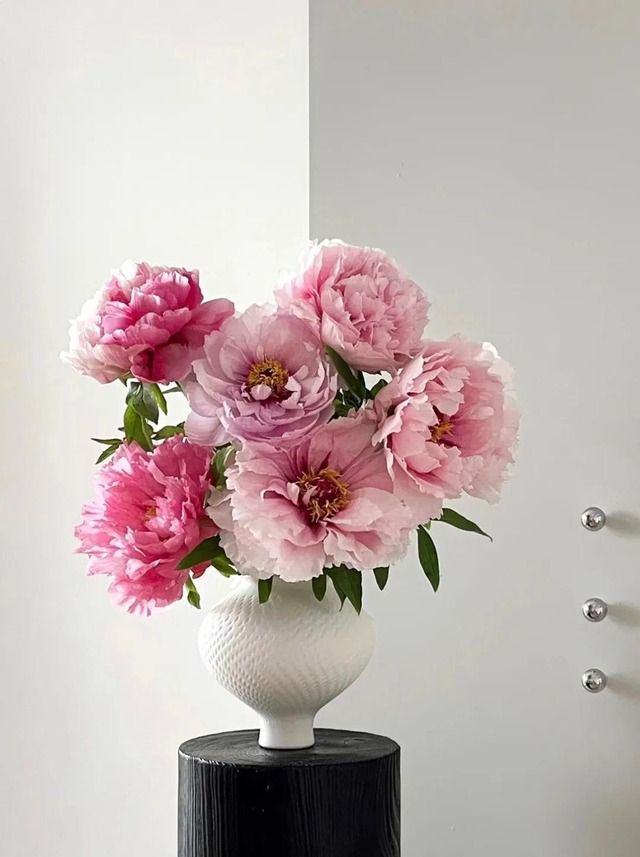 Cổ nhân tin rằng: Trong nhà có 3 cây hoa - Con cháu hưng thịnh, hưởng phúc- Ảnh 2. Cổ nhân tin rằng: Trong nhà có 3 cây hoa - Con cháu hưng thịnh, hưởng phúc- Ảnh 2.