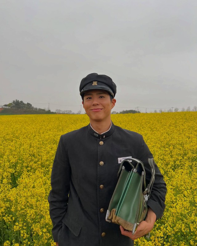"Khi Cuộc Đời Cho Bạn Quả Quýt" gây phẫn nộ vì "bôi xấu" Park Bo Gum- Ảnh 3.