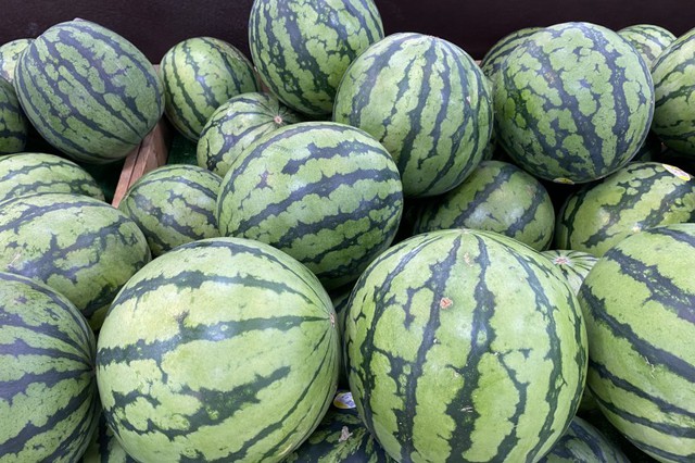 Hình ảnh quả dưa hấu có phần ruột quá hoàn hảo khiến nhiều người nhất quyết không tin nó thật sự tồn tại- Ảnh 3. Hình ảnh quả dưa hấu có phần ruột quá hoàn hảo khiến nhiều người nhất quyết không tin nó thật sự tồn tại- Ảnh 3.