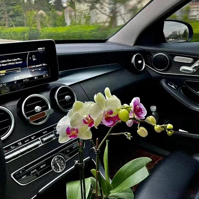 Người đàn ông làm 1 việc trong xe ô tô được dân tình khen ngợi: Kinh tế - tinh tế - thực tế!- Ảnh 1. Người đàn ông làm 1 việc trong xe ô tô được dân tình khen ngợi: Kinh tế - tinh tế - thực tế!- Ảnh 1.