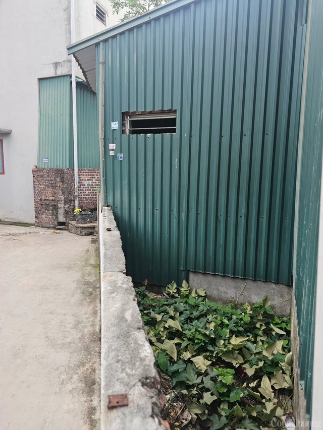 Xôn xao hình ảnh nhà máy sản xuất sản phẩm tăng cường sinh lý "công nghệ Hàn Quốc" của vợ chồng Phú Lê- Ảnh 7.