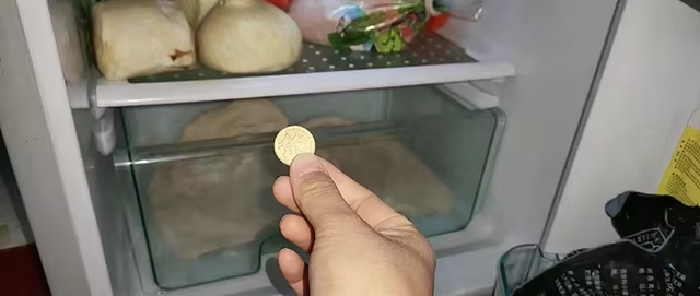Đặt một đồng xu vào tủ lạnh trước khi đi chơi xa, tôi yên tâm bảo vệ sức khỏe cả nhà- Ảnh 1.
