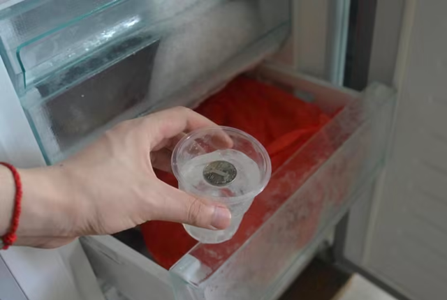 Đặt một đồng xu vào tủ lạnh trước khi đi chơi xa, tôi yên tâm bảo vệ sức khỏe cả nhà- Ảnh 3.