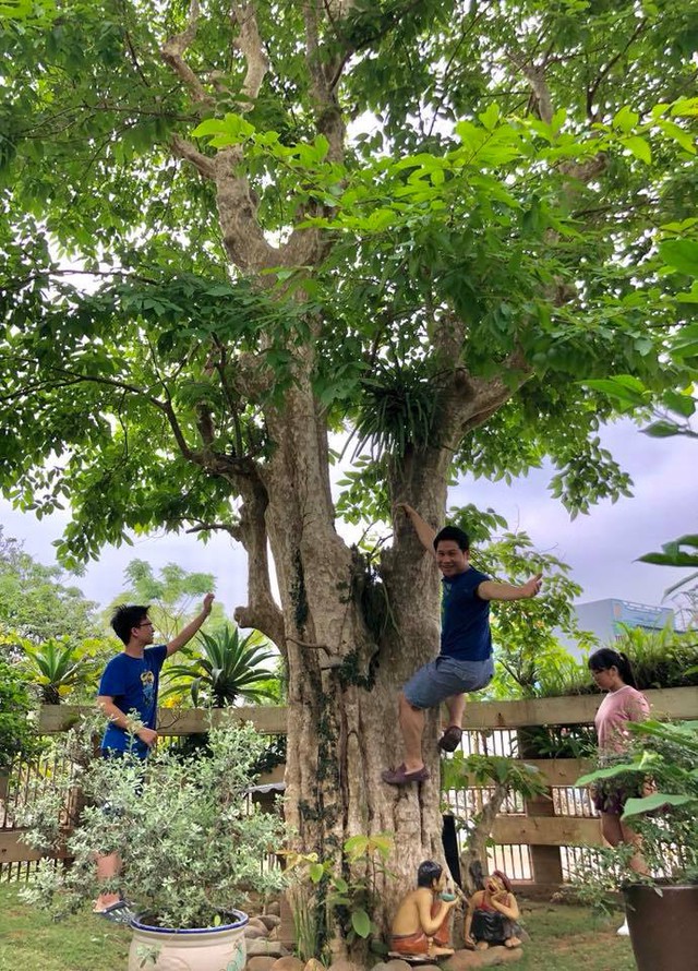 Cuộc sống tuổi 49 cực chill của Trọng Tấn trong biệt thự sân vườn tại Thanh Hóa: Nuôi gà, trồng rau má, hái nhót chín- Ảnh 11.