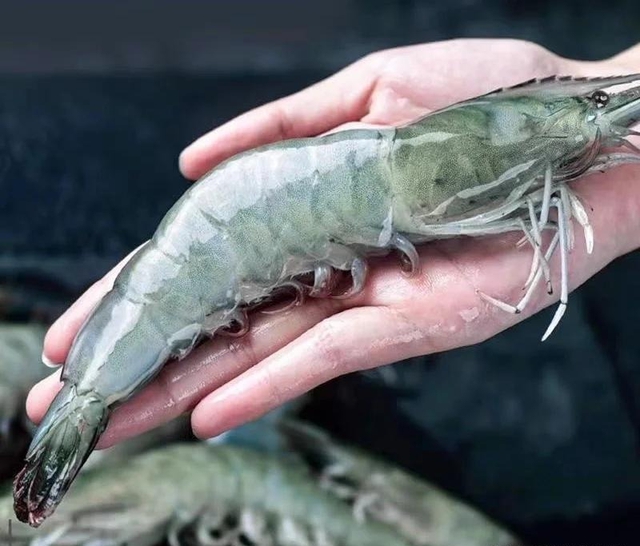 Khuyên thật: Khi làm 7 việc này nhất định phải đeo găng tay, nếu không thì "rước bệnh vào người"- Ảnh 1.
