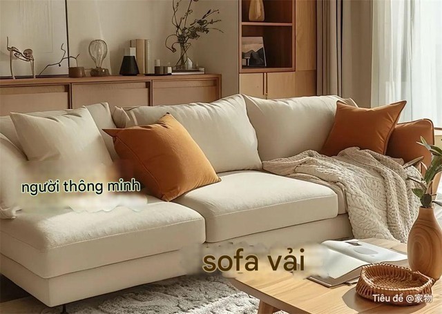 e509d70ddc7440fea25dedff9a7c45f2-1-17458980388911006322050.jpg