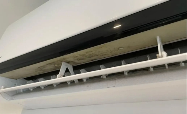 6 vật ngày nào cũng dùng dễ là ổ nấm mốc, bẩn kinh hoàng lại lăm le gây bệnh cho người- Ảnh 8.