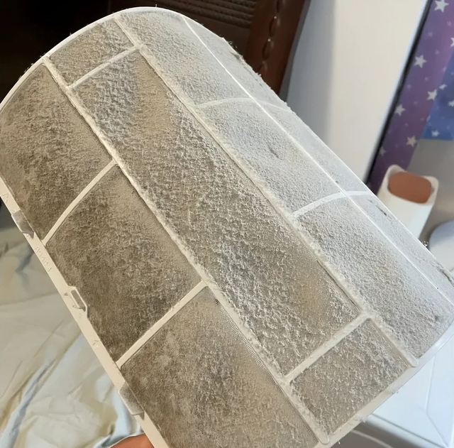 6 vật ngày nào cũng dùng dễ là ổ nấm mốc, bẩn kinh hoàng lại lăm le gây bệnh cho người- Ảnh 7.
