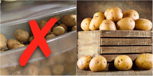 10 rau củ "sợ" nhiệt độ thấp, bạn bảo quản trong tủ lạnh là toi ngay- Ảnh 1. 10 rau củ "sợ" nhiệt độ thấp, bạn bảo quản trong tủ lạnh là toi ngay- Ảnh 1.