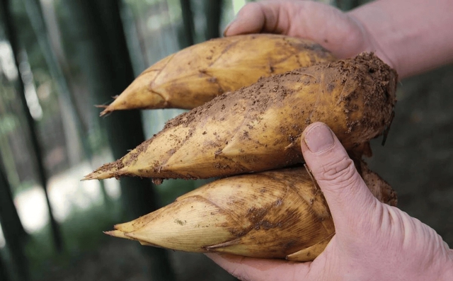 6 loại rau củ không chứa thuốc trừ sâu, bạn đi chợ cứ yên tâm MUA!- Ảnh 1.