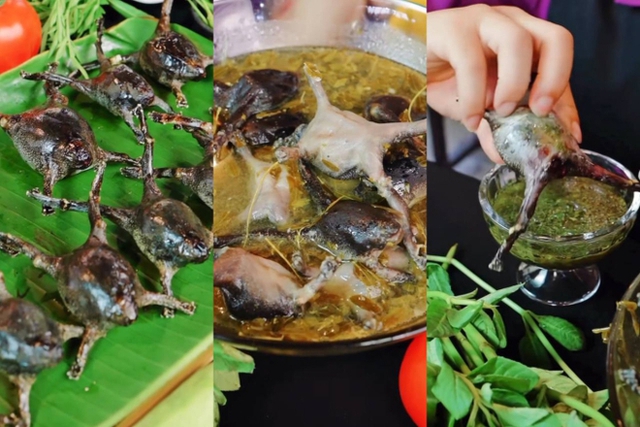 Món ăn nhìn như sinh vật lạ, nhiều người "sợ khiếp vía" nhưng giá cao ngất ngưởng, là đặc sản nức tiếng ở Việt Nam- Ảnh 4.