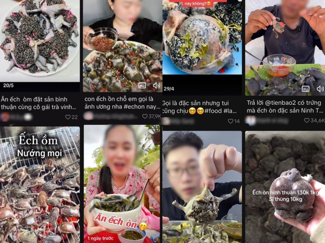 Món ăn nhìn như sinh vật lạ, nhiều người "sợ khiếp vía" nhưng giá cao ngất ngưởng, là đặc sản nức tiếng ở Việt Nam- Ảnh 3.