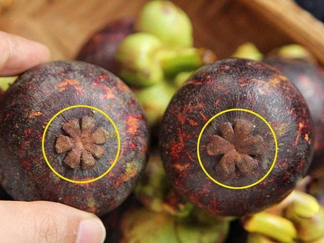 4 mẹo "nhìn phát biết ngay" măng cụt ngọt đậm, vỏ mỏng, nhiều múi, mua 1000 lần đều thành công!- Ảnh 5.
