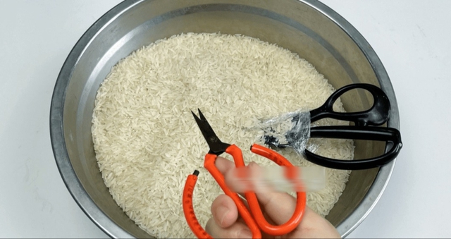 5 "bí mật" của gạo khiến 90% người kinh ngạc: Không ngờ thứ ăn hàng ngày lại "đỉnh chóp" như thế!- Ảnh 1.